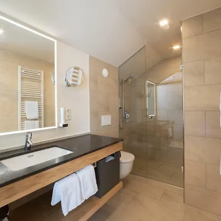 호텔 Hotel-restaurant Allmer 4*