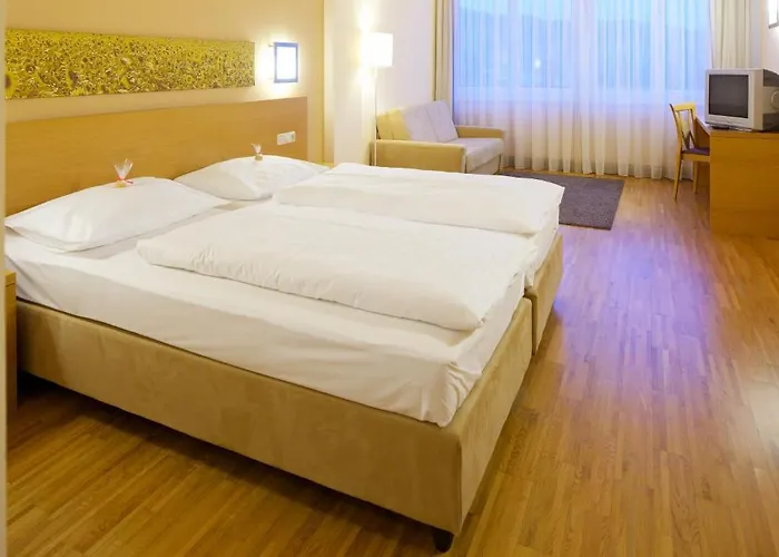 Hotel-restaurant Allmer 4* ويز