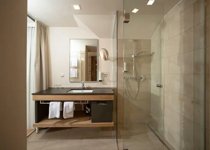 Hotel Hotel-restaurant Allmer 4*