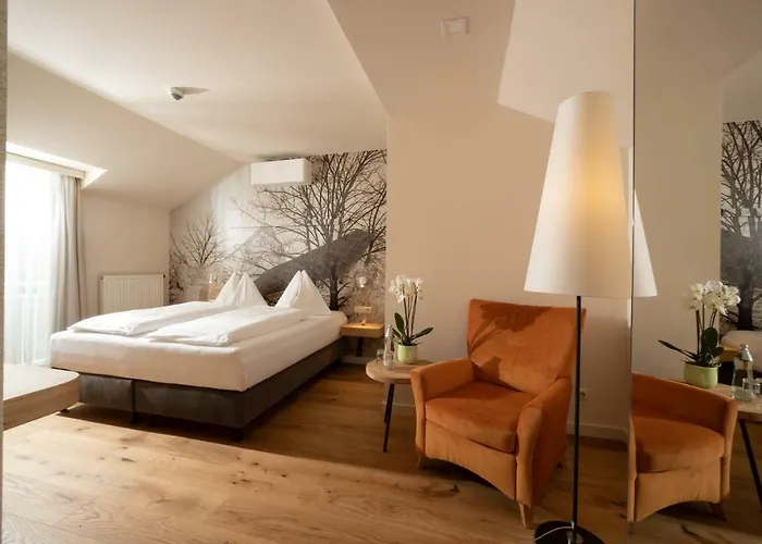 Hotel-restaurant Allmer Вайц