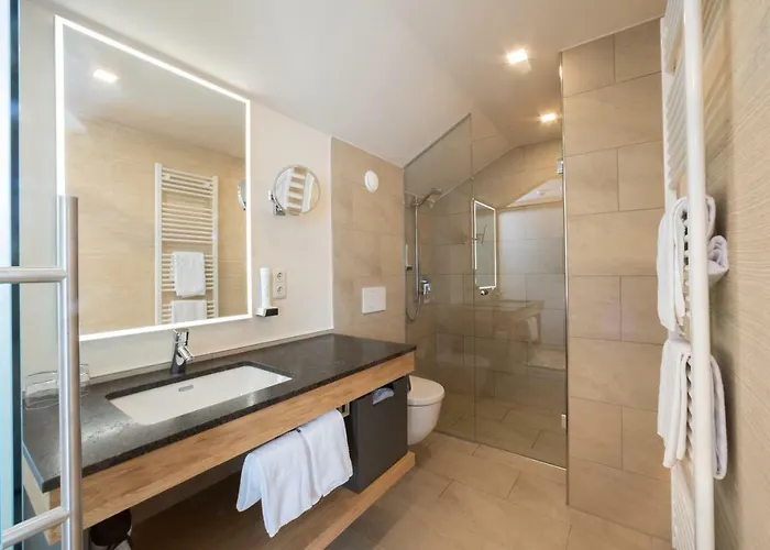 Отель Hotel-restaurant Allmer 4*